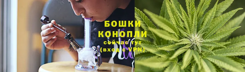 Конопля THC 21%  Кировск 